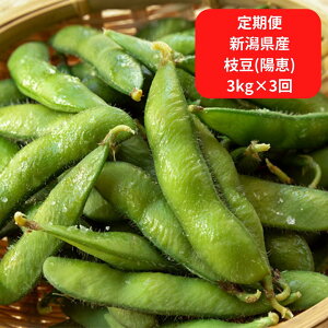 �y��s�\��z�y�ӂ邳�Ɣ[�Łz [����� 3kg×3��] �V�����Y �}���i�z�b�j �ߘa6�N�x ���̂�}��3kg��3�񂨓͂� �y090S002�z