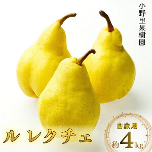 �ԗ�i�摜