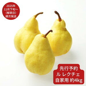 yӂ邳Ɣ[Łzs\  N`F Ɨp 2E3E4kg ߘa7NY EN`F VY m [엢ʎ]