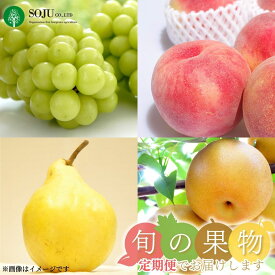 【ふるさと納税】先行予約 旬の果物定期便 4回 (桃、シャインマスカット、和梨、ル レクチェ) 選べる2コース 令和8年度 フルーツ定期便 旬 桃 白桃 シャインマスカット ぶどう 梨 洋梨 ルレクチェ 西洋梨 新潟県 三条市産 [三条果樹専門家集団]【051S005】