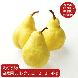 【ふるさと納税】先行予約 ル レクチェ 自家用 約2・3・4kg 令和7年産 ル・レクチェ 新潟県産 洋梨 [小野里果樹園]