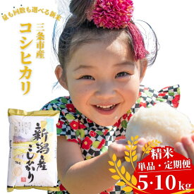 【ふるさと納税】新潟県三条市産 コシヒカリ 5kg・10kg 選べる配送回数（1・3・6回）こしひかり 令和7年産 米 [株式会社白熊]【010S099】