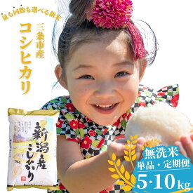 【ふるさと納税】無洗米 新潟県三条市産コシヒカリ 5kg・10kg 選べる配送回数（1・3・6回）こしひかり 令和7年産 米 [株式会社白熊]【010S100】