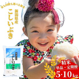 【ふるさと納税】 新潟県産 こしいぶき 5kg・10kg 選べる配送回数（1・3回）令和7年産 米 [株式会社白熊]【016S008】