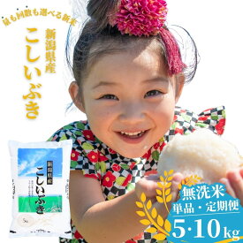 【ふるさと納税】無洗米 新潟県産こしいぶき 5kg・10kg 選べる配送回数（1・3回）令和7年産 米 [株式会社白熊]【017S007】