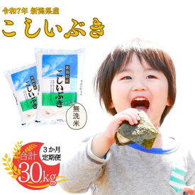 【ふるさと納税】無洗米 新潟県産こしいぶき 5kg・10kg 選べる配送回数（1・3回）令和7年産 米 [株式会社白熊]【017S007】