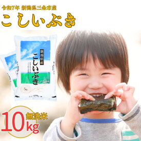 【ふるさと納税】無洗米 新潟県産こしいぶき 5kg・10kg 選べる配送回数（1・3回）令和7年産 米 [株式会社白熊]【017S007】