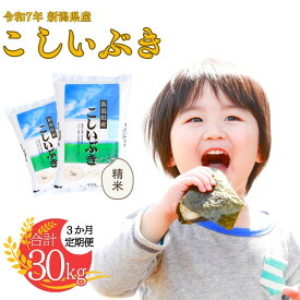 【ふるさと納税】 新潟県産 こしいぶき 5kg・10kg 選べる配送回数（1・3回）令和7年産 米 [株式会社白熊]【016S008】