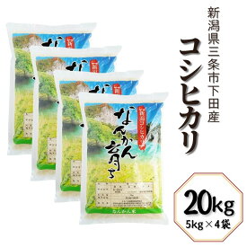 【ふるさと納税】コシヒカリ 選べる容量 5kg 6kg 10kg 20kg 新潟県三条市下田産 こしひかり 令和7年産 [JAえちご中越]