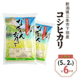 【ふるさと納税】コシヒカリ 新潟県三条市下田産 選べる容量 3kg 5kg 10kg 選べる回数 3か月 6か月 こしひかり 計9kg 令和7年産米 連続でお届け [JAえちご中越]