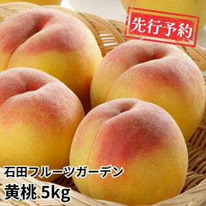 �y�ӂ邳�Ɣ[�Łz��s�\�� ���� �i�킨�C�� ��3kg or 5kg �V���t���[�c [2026�N������] �ߘa8�N�Y �V�����Y���� [�Γc�t���[�c�K�[�f��]