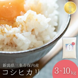 【ふるさと納税】新潟県産コシヒカリ 1等米 3kg~10kg 2025年産コシヒカリ 三条市保内産こしひかり 精米 白米 令和7年産 米