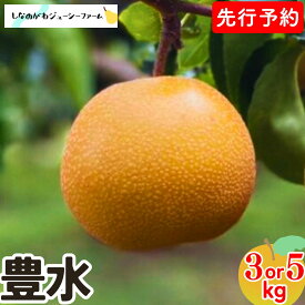 【ふるさと納税】 先行予約 和梨 豊水 約3kg・約5kg 令和8年度 選べる数量 新潟県 三条市産 梨 [しなのがわジューシーファーム]