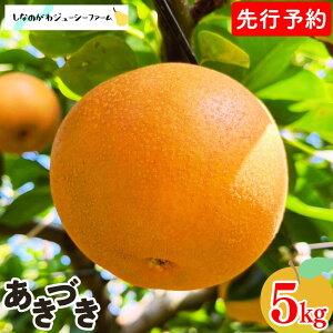 �y�ӂ邳�Ɣ[�Łz ��s�\�� �a�� �����Â� ��3kg�E��5kg �ߘa8�N�x �I�ׂ鐔�� �V���� �O���s�Y �� [���Ȃ̂���W���[�V�[�t�@�[��]