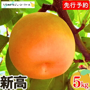 �y�ӂ邳�Ɣ[�Łz ��s�\�� �a�� �V�� ��3kg�E��5kg �ߘa8�N�x �I�ׂ鐔�� �V���� �O���s�Y �� [���Ȃ̂���W���[�V�[�t�@�[��]