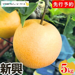 �y�ӂ邳�Ɣ[�Łz[2026�N�Y��s�\��] �a�� �V�� ��3kg�E��5kg �I�ׂ鐔�� �ߘa8�N�x �V���� �O���s�Y �� [���Ȃ̂���W���[�V�[�t�@�[��]