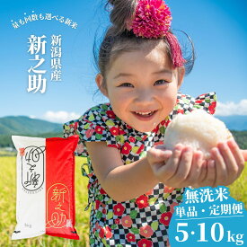 【ふるさと納税】新潟県産 無洗米 新之助 5kg・10kg 選べる配送回数（1・3・6回）しんのすけ 令和7年産 [株式会社白熊]