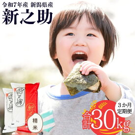 【ふるさと納税】新潟県産 新之助 しんのすけ 5kg・10kg 選べる配送回数（1・3・6回）令和7年産 [株式会社白熊]