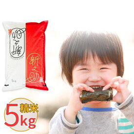 【ふるさと納税】新潟県産 新之助 しんのすけ 5kg・10kg 選べる配送回数（1・3・6回）令和7年産 [株式会社白熊]