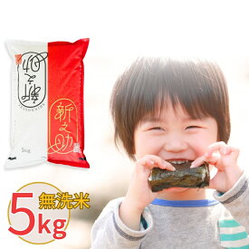 【ふるさと納税】新潟県産 無洗米 新之助 5kg・10kg 選べる配送回数（1・3・6回）しんのすけ 令和7年産 [株式会社白熊]