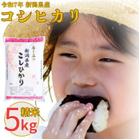 【ふるさと納税】新潟県産 コシヒカリ 5kg・10kg(5kg×2) 選べる配送回数（1・3・6回） こしひかり 令和7年産 米 [株式会社 白熊} 【010S097】