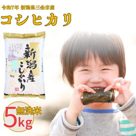 【ふるさと納税】無洗米 新潟県三条市産コシヒカリ 5kg・10kg 選べる配送回数（1・3・6回）こしひかり 令和7年産 米 [株式会社白熊]【010S100】