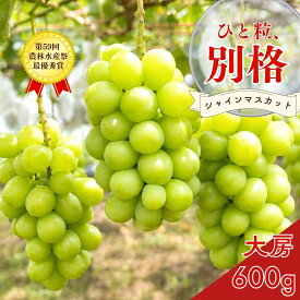 【ふるさと納税】＊先行予約＊　大房シャインマスカット 1房 約600g [2026年発送分] 令和8年産 大房 しゃいんますかっと 新潟県産シャインマスカット 三条市 果物 [こひなた果樹園] 【010S600】