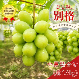 【ふるさと納税】 ＊先行予約＊シャインマスカット 小房詰め合わせパック 約600g×3 約1.8kg [2026年発送分] 令和8年産 シャインマスカット 新潟 三条 燕三条 果物 [こひなた果樹園] 【024S045】