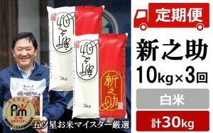 �y�ӂ邳�Ɣ[�Łz�ߘa7�N�Y�āy�܃c�����ă}�C�X�^�[���I�E3��������ցz�V�V�� ���� 10kg�i5kg×2�܁j×3��i�v 30kg�j[Y0265]�y �V���� ����s �z