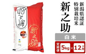 yӂ邳Ɣ[Łzy12ցzVFؓʍ͔| VV  5kg×12iv 60kgjAO[z}[Y0374]y V s z
