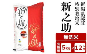yӂ邳Ɣ[Łzy12ցzVFؓʍ͔| VV  5kg×12iv 60kgjAO[z}[Y0375]y V s z