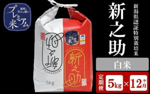 �y�ӂ邳�Ɣ[�Łz�y12��������ցz�Ö��̋����v���~�A���� �V�����F�ؓ��ʍ͔|�� �V�V�� ���� 5kg×12��i�v 60kg�j�A�O���[�z���}[Y0378]�y �V���� ����s �z