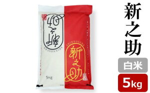 yӂ邳Ɣ[Łzyߘa7NYVāzVV  5kg V ̂[Y0470]y V s z