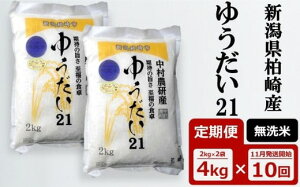 yӂ邳Ɣ[Łzs\yߘa7NYVāE10ցz 䂤21  4kgi2kg×2܁j×10iv 40kgj_ [Y0543]y V s z