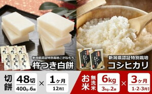 yӂ邳Ɣ[Łzy12`E4ցzn݁i2.4kg×1񔭑jƐ^pbN ʍ͔| RVqJ āi6kg×3񔭑j [Y0579]y V s z