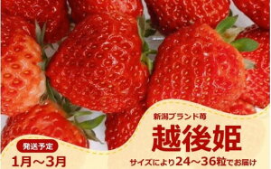 yӂ邳Ɣ[Łzys\E1`zV̂PlzPi24`36jVIWii[ZB618]y V s z