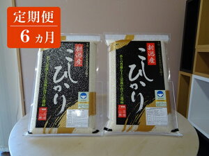 ふるさと納税 コシヒカリの人気商品 通販 価格比較 価格 Com