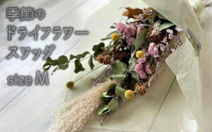yӂ邳Ɣ[ŁzG߂̃hCt[ MTCY XbOy hCt[ V s z