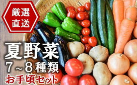 【ふるさと納税】【先行予約】産地直送！やたらうんめぇ 夏野菜 お手頃セット 水田環境鑑定士在籍【数量・期間限定】【 新潟県 柏崎市 】