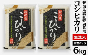 �y�ӂ邳�Ɣ[�Łz�y�ߘa7�N�Y�āz�^��p�b�N ���ʍ͔|�� �R�V�q�J�� ������ 6kg�i3kg×2�܁j �R�g�_��̂��� �V�����Y [Y0061]�y �V���� ����s �z