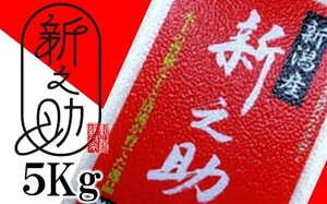 �y�ӂ邳�Ɣ[�Łz�y�ߘa7�N�Y�āz�^��p�b�N ���ʍ͔|�� �V�V�� ������ 5kg �R�g�_��̂��� �V�����Y [Y0059]�y �V���� ����s �z