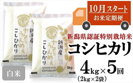 【ふるさと納税】【新米定期便・10月～発送】コシヒカリ 白米 4kg（2kg×2袋）×5回（計 20kg）ヤタらうんめぇお米 先行予約 水田環境鑑定士在籍【 新潟県 柏崎市 】