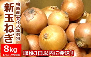 �y�ӂ邳�Ɣ[�Łz�y��s�\��E�ߘa8�N6�������\��z���������� �V�ʂ˂� �T�C�Y���I�� 8kg[ZA130]�y �V���� ����s �z