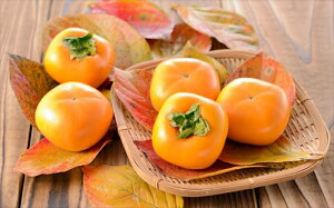 �y�ӂ邳�Ɣ[�Łz�y��s�\��E�ߘa8�N�H�����z�Ƃ낯��Â݂̐V���` 5kg ��Ȃ��`[ZB119]�y �V���� ����s �z