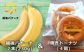 【ふるさと納税】【雪国新潟産バナナ】越後バナーナ 2本（230g）＆焼きドーナツ 4個 セット【 新潟県 柏崎市 】