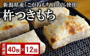 yӂ邳Ɣ[Łzy12ցzĖ ؂ 430g×5pbNiv 40؁j×12 ny V s z