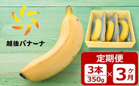【ふるさと納税】【定期便・雪国新潟産バナナ】3本（350g）×3回 濃厚な甘さともっちり食感！安心安全の越後バナーナ【 新潟県 柏崎市 】