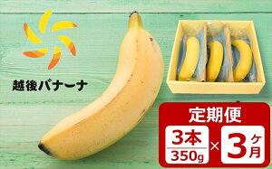 yӂ邳Ɣ[ŁzyցEፑVYoiiz3{i350gj×3 ZȊÂƂHISS̉zoi[iy V s z