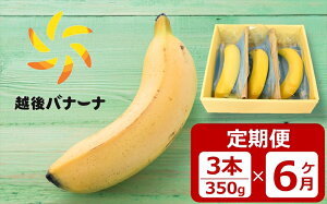 yӂ邳Ɣ[ŁzyցEፑVYoiizyցEፑVYoiiz3{i350gj×6 ZȊÂƂHISS̉zoi[iy V s z