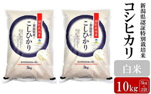 yӂ邳Ɣ[Łzyߘa7NYVāzRVqJ  10kgi5kg×2܁j VFؓʍ͔|  VY AO[z}[Y0364]y V s z